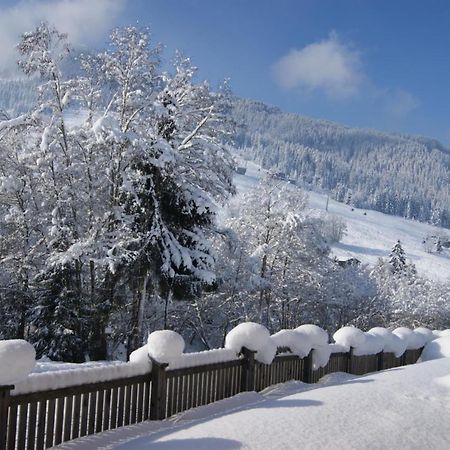 Alpbach Loft Appartement Buitenkant foto